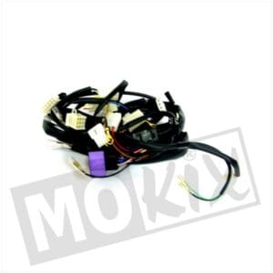 WIRING HARNESS RIEJU MRX/SMX POWER UP 2008