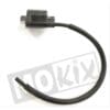 IGNITION COIL POWER UP RIEJU