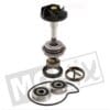 WATERPUMP-REV.SET PIAGGIO BEVERLY '06 250 RMS