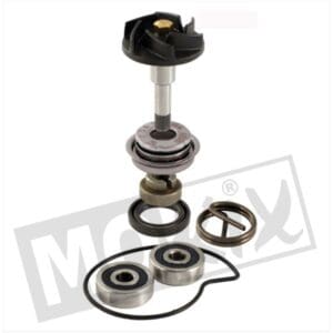 WATERPUMP-REV.SET PIAGGIO BEVERLY '06 250 RMS