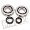 BEARING/OILSEAL SET PEUGEOT VERT E1 NTN ST