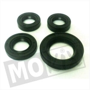 SEAL-RINGEN SET KYMCO DJY50    TW