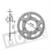 REAR SPROCKET RIEJU RR/SPIKE 80.2mm 6holes 44t IGM