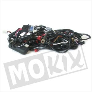 WIRING HARNESS PIAGGIO LX50 4T 4V COMPLETE ORG