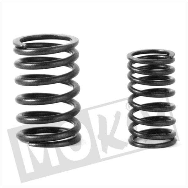 VALVE SPRING SET SYM / PEU 4T (KISBEE) ORG