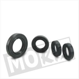 SEAL-RINGEN SET PEUGEOT FOX 4 pcs TW