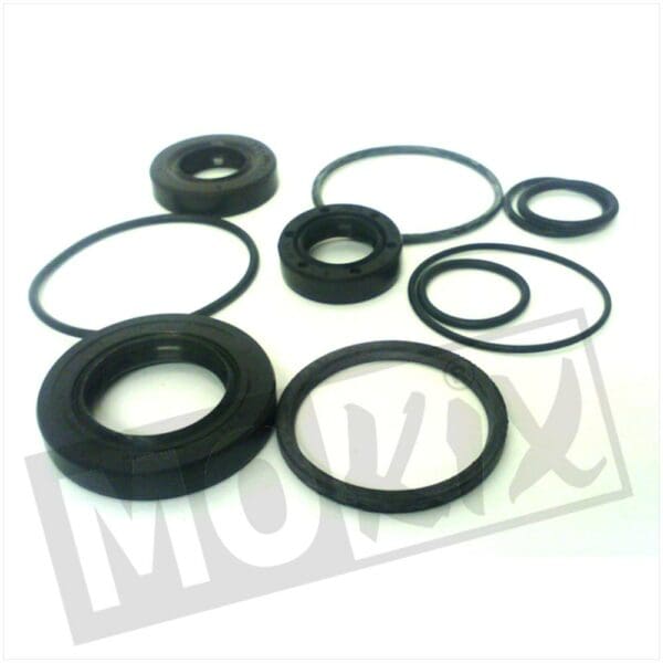 SEAL-RINGEN SET KYMCO DJY50 BAC