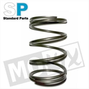 CLUTCH SPRING PIAGGIO 2T/4T new type 107mm