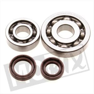 BEARING/SEALRING SET PIAGGIO 50cc 4T NEW MODEL 4p