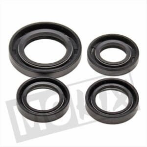 SEAL-RINGEN SET PEUGEOT HORZ LUDIX/SPF3 4 pcs SP