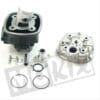 CYLINDER KIT PIAGGIO NRG/RUNNER LC 40.0mm 50cc TP