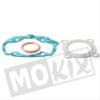 CYLINDERGASKET SET PEUGEOT LUDIX AC 50cc