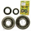 BEARING/SEALRING KIT KYMCO SCOOTERS 2T TP