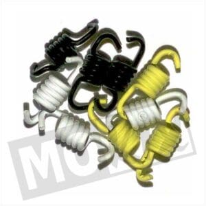 CLUTCH SPRING( 9) PIAGGIO MALOSSI