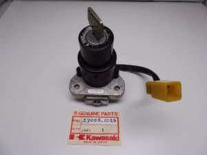 Kawasaki - 27005-1029_1 - FZR1000 - Ignition