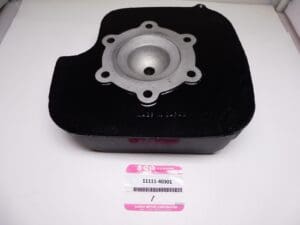 Suzuki - 11111-40301 - RM250 - Cylinder