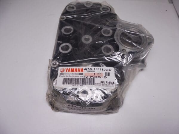 Yamaha - 430-11111-00 - TZ250 A/B - Head cylinder