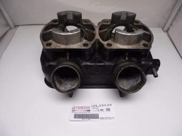 Yamaha - 1H3-11311-00 need nw nicasil - TZ250 C/D/E/F/G - Cylinder