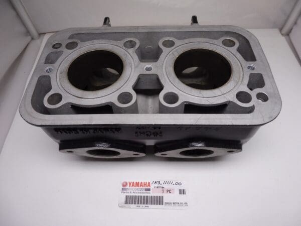 Yamaha - 1H3-11311-00 - TZ250 C/D/E - Cylinder